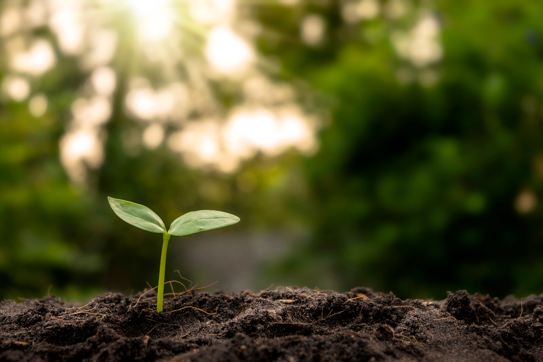 Our Commitments to a More Sustainable Future